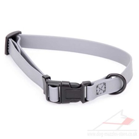 Durable Waterproof Dog Collar with Quick Release 0.6"
