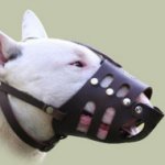 English Bull Terrier Muzzles UK Lightweight Leather Basket