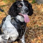 Super Comfy Y-Shaped Dog Chest Harness for Spaniel