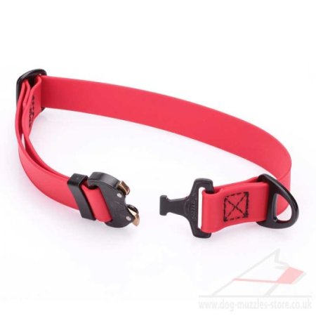 1" Medium to Large Waterproof Dog Collar with Metal Clasp