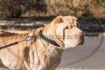 "Reliable Grip" Strong Nylon Shar Pei Dog Collar