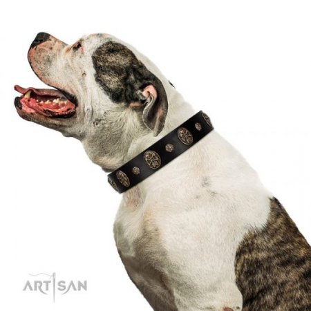 Adorable Black Leather Dog Collar "Pirate’s Spell" FDT Artisan