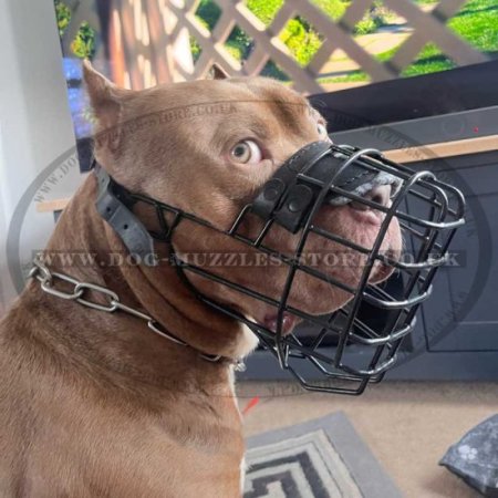 Best muzzle for staffordshire bull terrier clearance