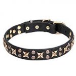 Charming Vintage Dog Collar 1 1/5 inch (30 mm)