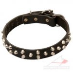 Designer Dog Leather Collar with Studs