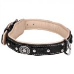 Exclusive Dog Collar Design, Soft Padded, Braided Leather