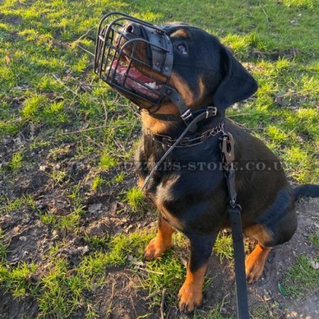 Strong Metal Wire Basket Dog Muzzle "For Everyone"