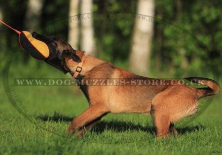 Small Dog Tug Training Toy with Handle