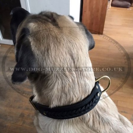 Wide Dog Collar | Braided Dog Collar