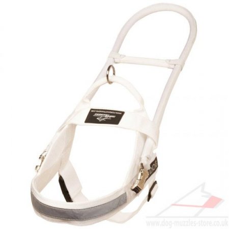 Large Assistance Dog Mobility Harness with Handle