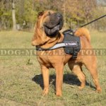 High Vis Nylon Dog Harness for Chinese Shar Pei