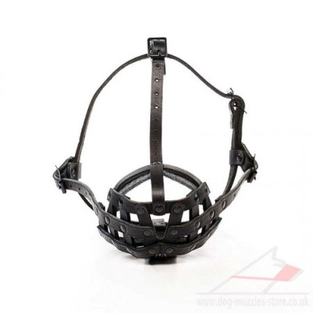 French Bulldog Muzzle UK Bestseller Basket Muzzle for Frenchie