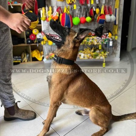 Melon-Shaped Bite Tug with Handle for Dog Training, Medium