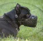 Cane Corsos K9 Dogs Muzzle for Military Service and Police Dogs