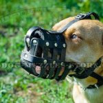 Pitbull Dog Leather Muzzle Super Ventilated & Lightweight