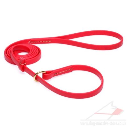 Red Dog Leash and Collar Choker Combo for Large and Small Dogs
