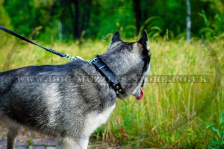 Black Designer Leather Studded Dog Collar For Siberian Husky