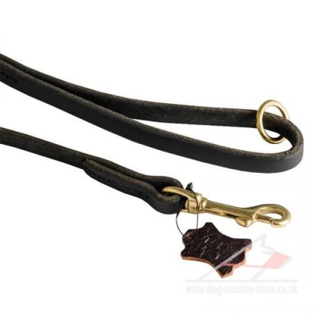 1/2 Inch Wide Leather Dog Leash with Brass Fittings
