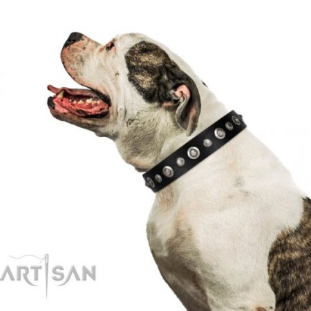 Luxury Black Leather Dog Collar with Studs FDT Artisan