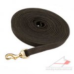 Long Dog Training Lead (19 mm wide)