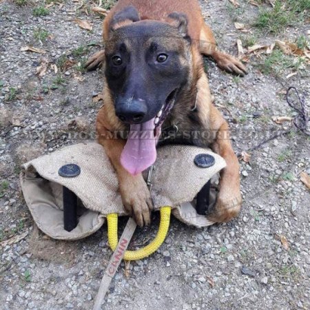 Jute Bite Wedge with Handles for Puppies and Young Dogs Biting