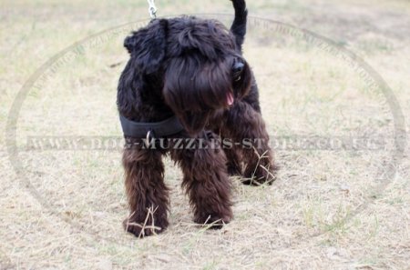 Giant/Miniature Schnauzer Dog Harness No Pull Front Clip