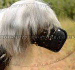 Basket Muzzle for Large Dogs | South Russian Shepherd Dog Muzzle
