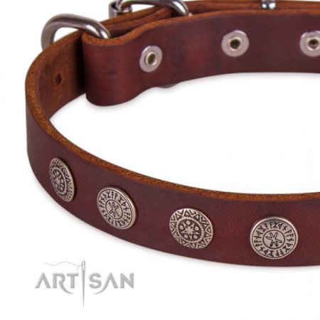 Handcrafted Brown Studded Buckle Dog Collar FDT Artisan