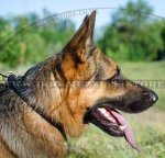 Buy Now Strong German Shepherd Collar with Braided Design