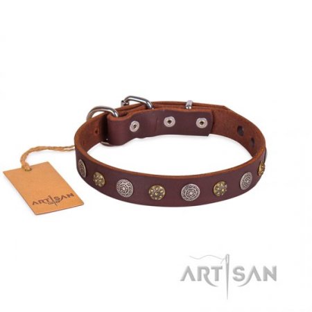 Adorned Brown Leather Dog Collar For Dogs 1 In Width