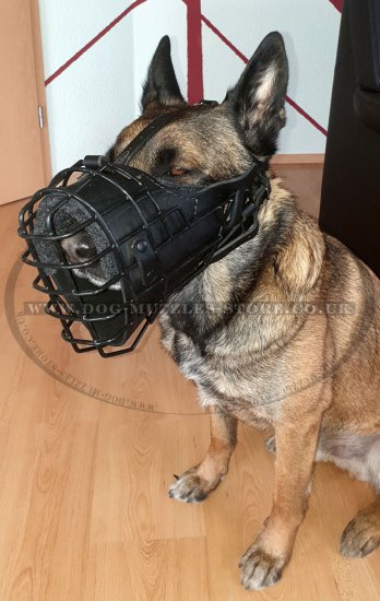 Police K9 Dog Muzzle for Service Dogs Leather Padded