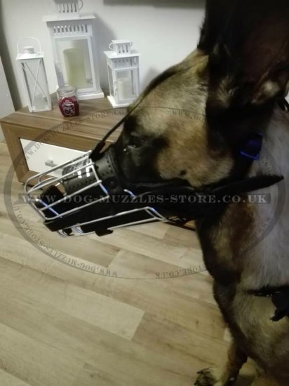 Belgian Malinois Leather Muzzle for Agitation and Biting