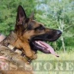 Gorgeous Dog Collar Design For German Shepherd