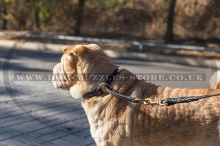 Best collar for sales training