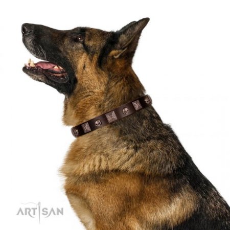 Extravagant Brown Leather Dog Collar With ID Plate FDT Artisan