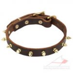 Brass Spiked Dog Leather Collar