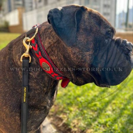 "Heavy Fire" Soft Red Leather Padded Dog Collar