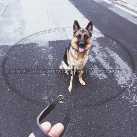 Bestseller! Multifunctional Hands Free Dog Leash 0.8 in Wide