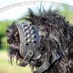 Leather Dog Muzzle with Nappa Lining and Spikes| Soft Dog Muzzle