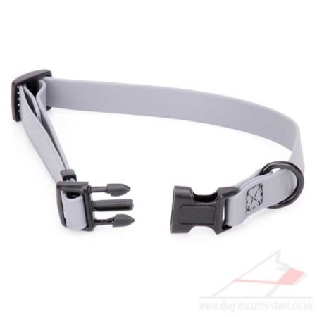 Durable Waterproof Dog Collar with Quick Release 0.6"