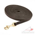 Long Dog Lead for Tracking (10 mm wide)