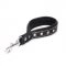 New Short Dog Leash with Chrome Plated Decorations