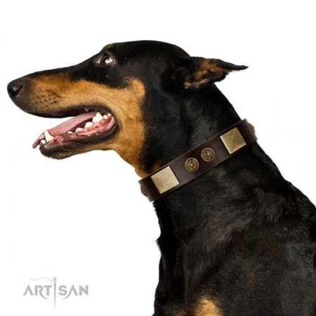 FDT Artisan Soft Brown Leather Dog Collar "Bow-Wow Effect"