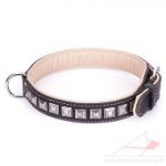 Strong Black Leather Collar For Dog Studded With Chic Squares