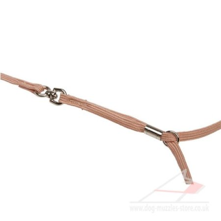 Tan Nylon Dog Collar and Leash 2 in 1 for a Dog Show