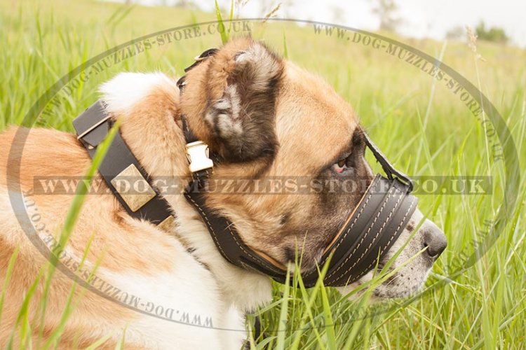 Bark Stopper Dog Muzzle Loop for Big Dogs Like Alabai