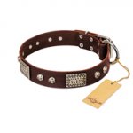 Beautiful Brown Dog Collar FDT Artisan 'Pirate Skull'