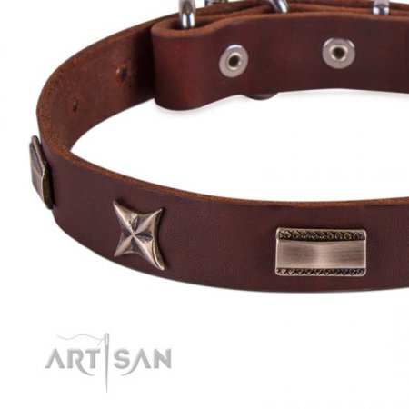 Handmade Strong Brown Studded Dog Collar FDT Artisan