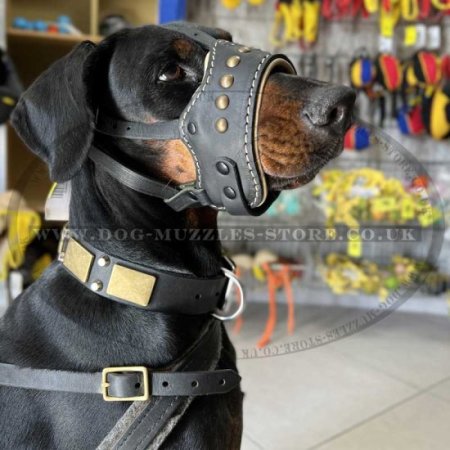 Best Leather Dog Muzzle with New Studded Design