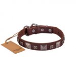 Elegant Brown Studded Dog Collar FDT Artisan 1" Width